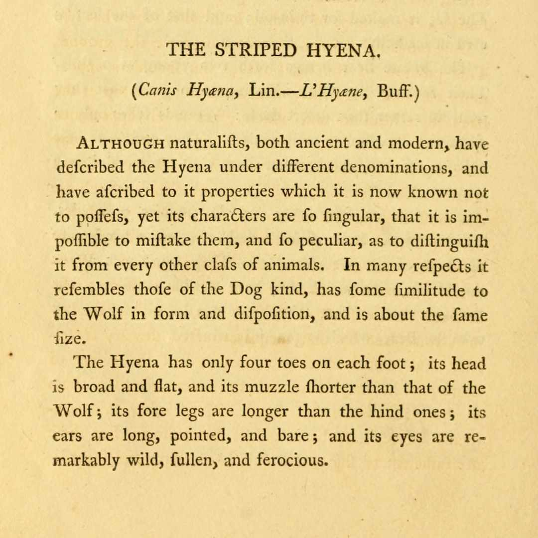 Old-school text that accompanied the hyena image that inspired Rare Breed Organic Apparel's "Stay Weird" organic cotton T-shirt.  Ethical clothing, made by a small Canadian business for weirdos like you!