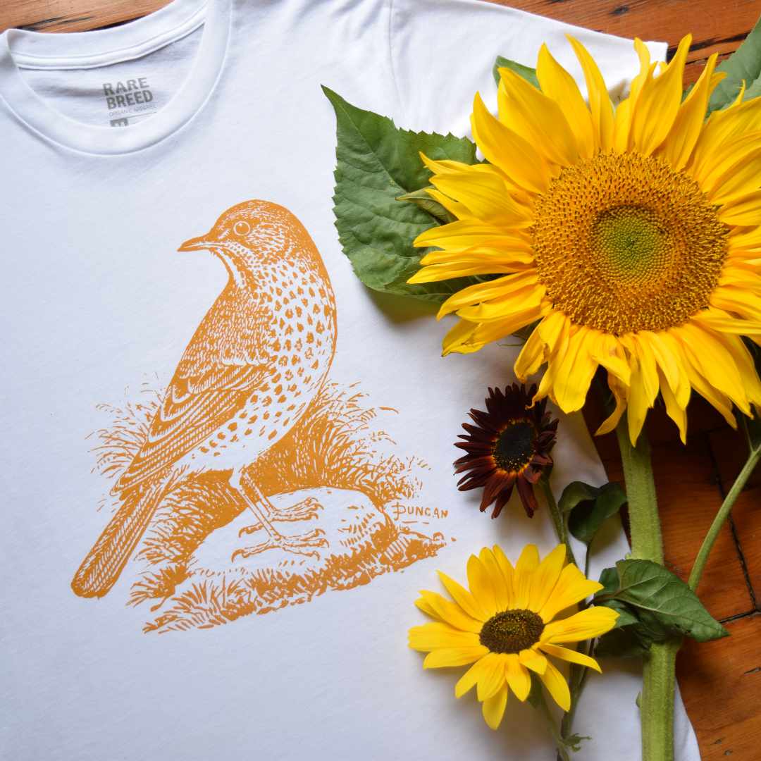 Close-up of Rare Breed Organic Apparel's song bird T-shirt in white.  This ethically made graphic T-shirt depicts a Song Thrush adapted from a historical wood-cut illustration from the 1800's.  Alongside the organic t-shirt are bright yellow and rust sunflowers.